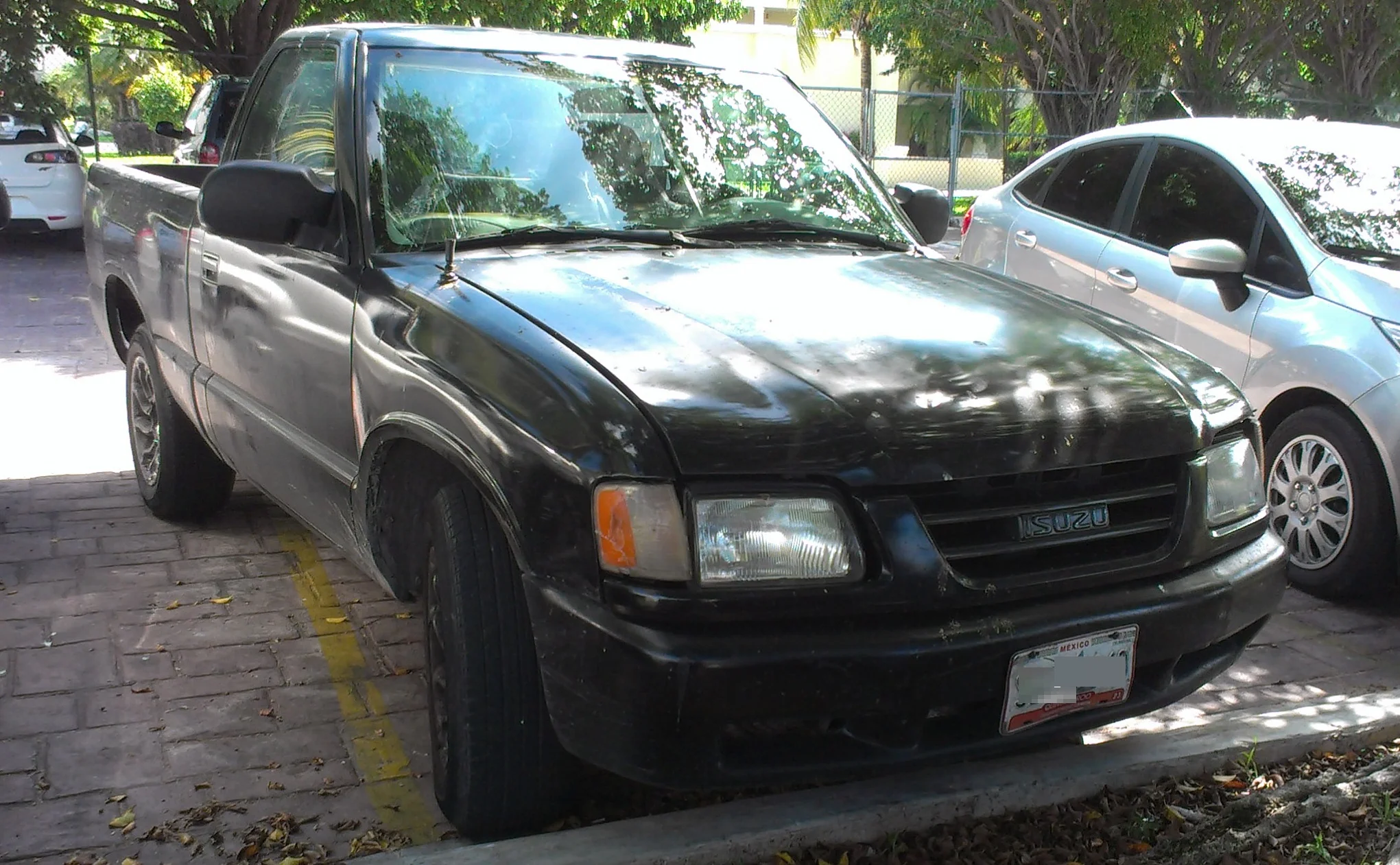Isuzu Regular Cab